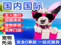 韶关航空物流国际宠物托运 【国